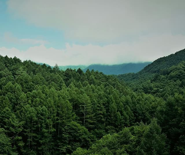 箱根メインイメージ